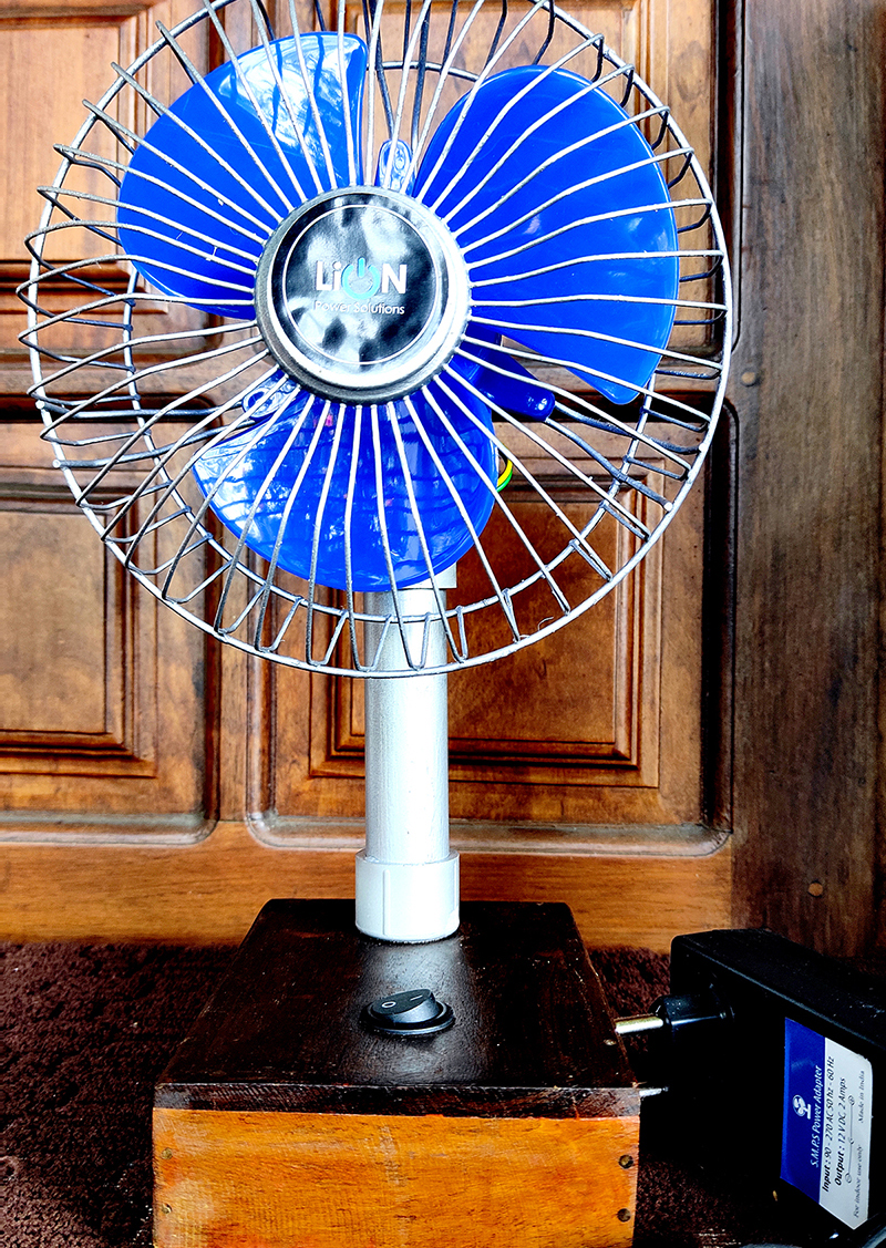 Lion-Fan5-1